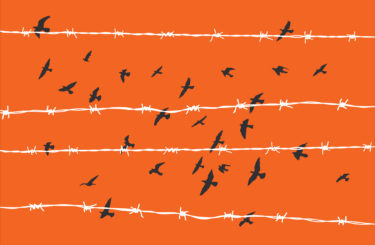 birds flying over broken barbed wire